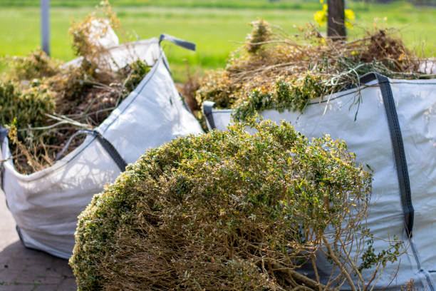 Best Dumpster Rental Services  in West Canton, NC